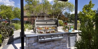 Lake Clearwater Gallery 39