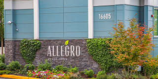 Allegro Lynwood Gallery 25
