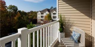 The Islands of Fox Chase Gallery 14