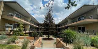 Spacious 1 Bed/1bath close to CU with Reserved Parking Gallery 1