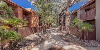 Broadway Proper Apartment Gallery 18