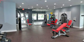 TGM Danada Gallery 28