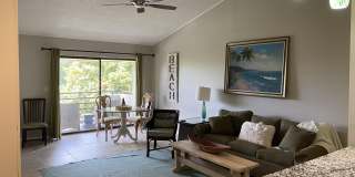 667 SUMMER Place Gallery 4