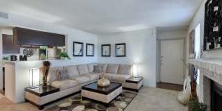 Broadstone Medical Gallery 18