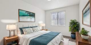 Castile Apartments Gallery 55