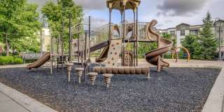 Park Lane Village Gallery 12