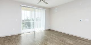 RIZE at Winter Springs Gallery 102