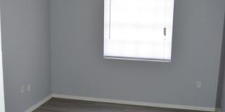 Spacious Studio in Maitland! Gallery 7