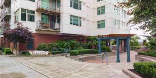 Charming Studio in Downtown Bellevue Gallery 1