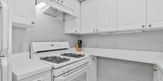 1625 INTERNATIONAL DR #321 Gallery 9