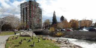 <b>12th floor One Bedroom Condo on the River<br><br> Gallery 2