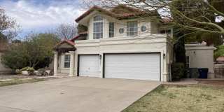 537 ROSINANTE Road Gallery 78