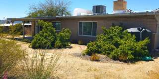 7800 N Nicole Place Gallery 42