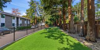 Lorien Ivy Apartments Gallery 44