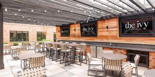 The Ivy Gallery 41