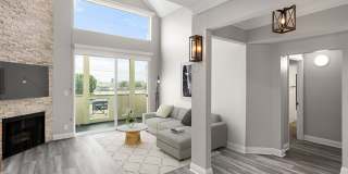 Palms Court Gallery 6