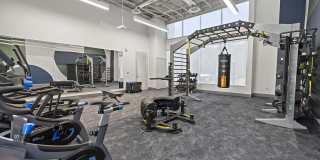 The Lotus Gallery 19