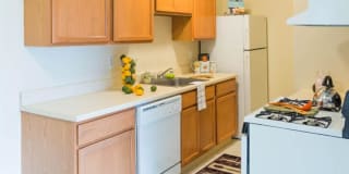 Harlo Apartments Gallery 8