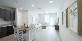 Madison Palms Gallery 12