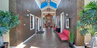 Canyon Ranch Gallery 5