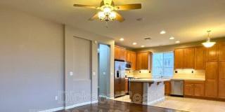 10691 Fire Poppy Circle Gallery 4