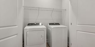 Solis Buffaloe Gallery 15