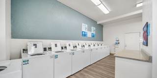 Desert Springs Gallery 20