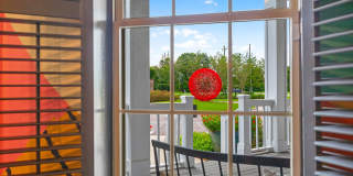 Indigo Park Gallery 30