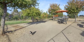 Allegria at Roseville Gallery 14