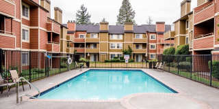 The Lucent Gallery 25