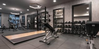 Alexan Julian Gallery 16