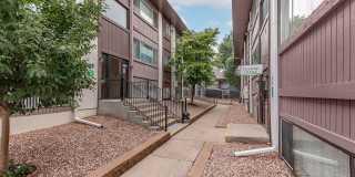 Shannon Hills Gallery 12