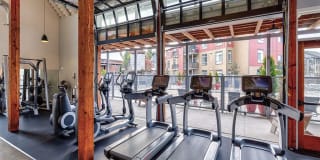 Bailey Farm Gallery 20