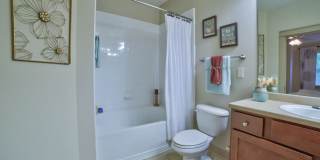 Avonlea Tributary Gallery 7