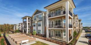 The Cardinal Gallery 21