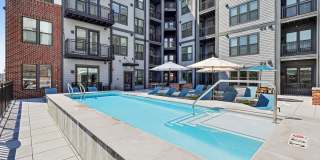 The Navigator The Navigator Gallery 20