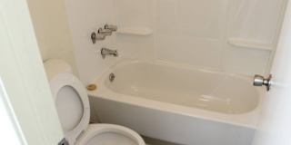 Santuario Gallery 12