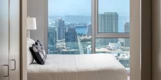 The Merian Gallery 81