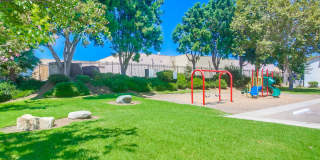 Las Ventanas Gallery 13