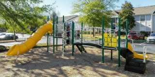 Blue Ridge Gallery 6