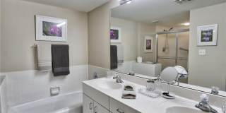 5637 Turtle Bay Dr Gallery 9