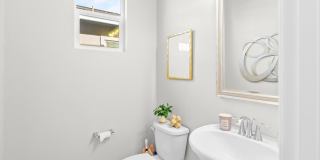 230 Steven Bridges Gallery 15