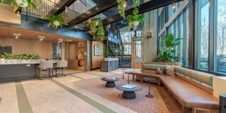 Atwell on Spring Gallery 21