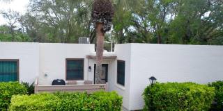 401 PALM TREE Drive Gallery 6