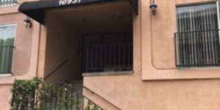 Wilkins 10937 Gallery 1