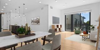 The Olive The Olive Gallery 3