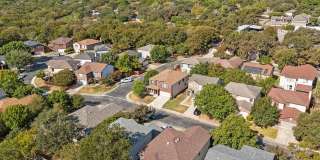 39 Longleaf Coral Gallery 37