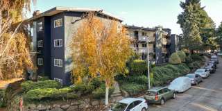 Arrive Magnolia Gallery 69