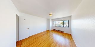 2038 Divisadero Gallery 3