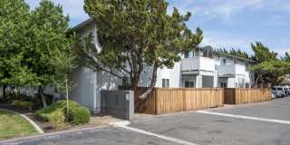 Driftwood Apartments Gallery 20